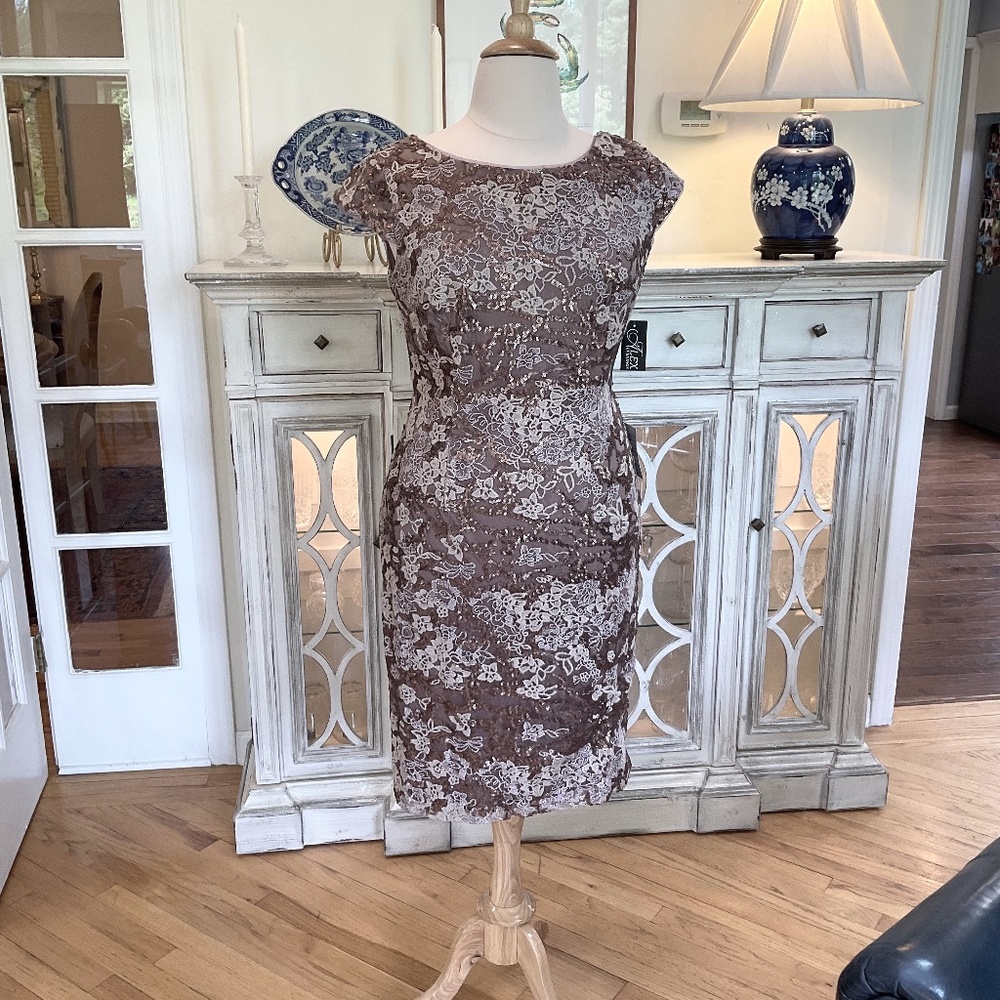 Alex Evenings for Nordstrom Embroidered Sheath Dress NWT